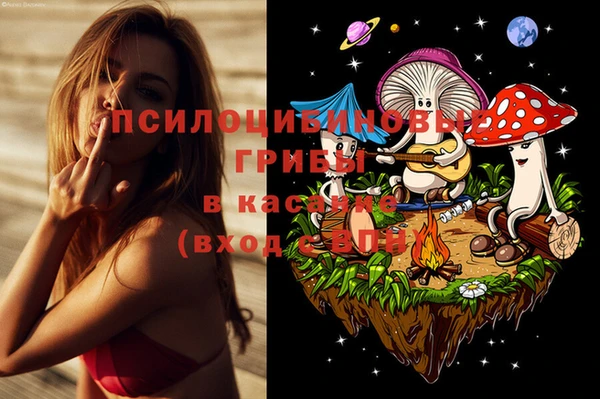эйфоретик Алзамай