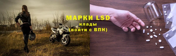 PSILOCYBIN Абаза
