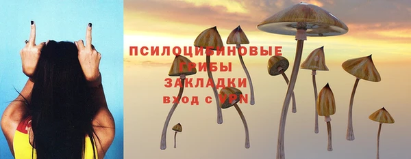 эйфоретик Алзамай